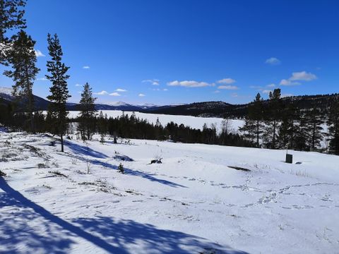 Tynset