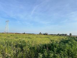 Utrera,  ES