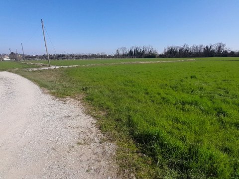Sommacampagna,  IT