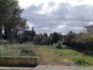 Alcúdia,  ES
