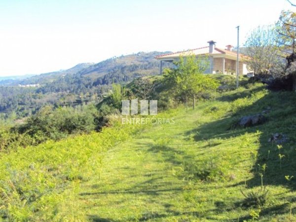 Cinfães,  PT