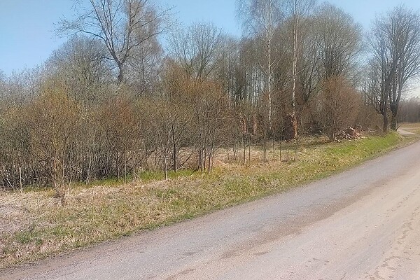 plot for sale, land-profit land - Prangli, Kanepi vald, Põlvamaa