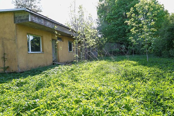 Jõgevamaa, Jõgeva vald, Kaude