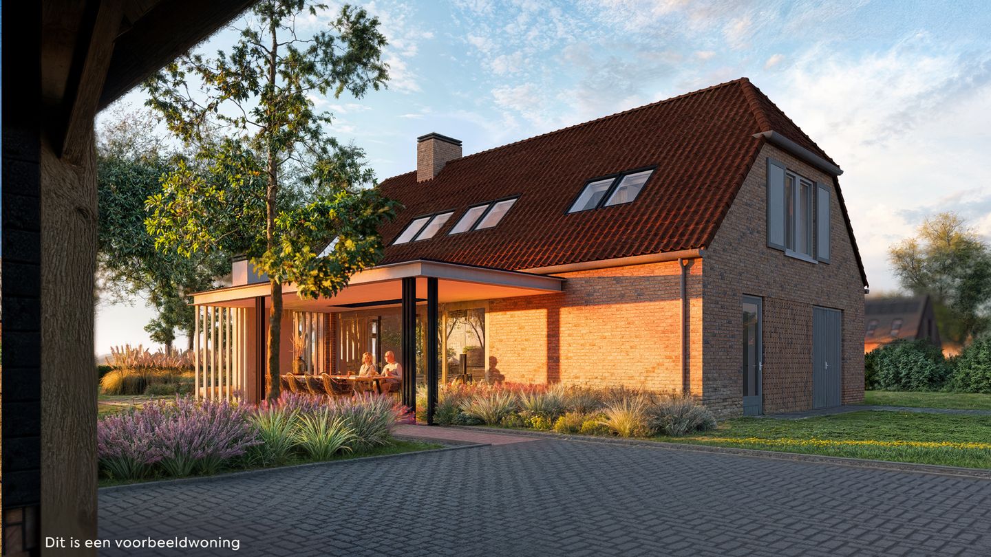 8101 Raalte