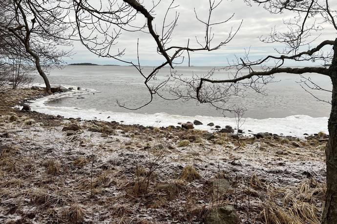 Tierp, Tierps kommun