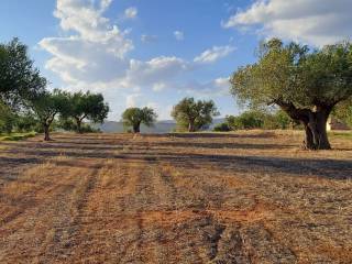 Asopos,  GR