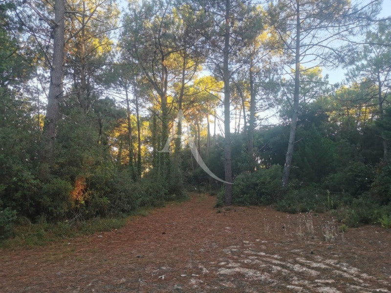 à Saint-Jean-de-Monts (85160)