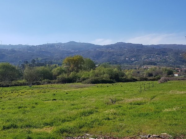 Campo de Besteiros,  PT