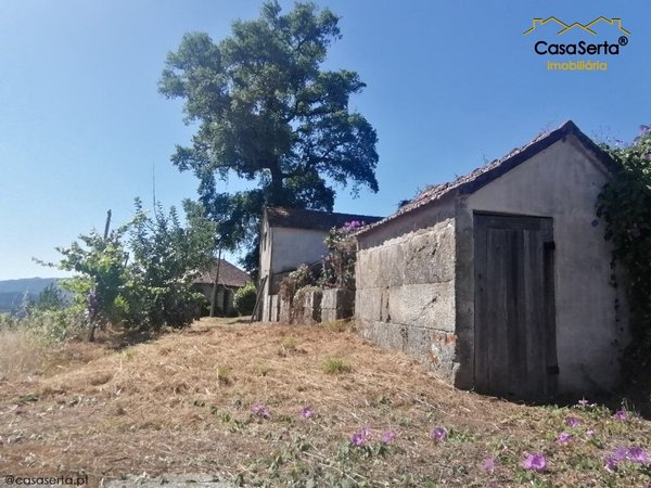 Oliveira,  PT