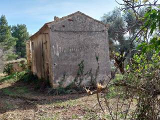 Civitanova Marche,  IT