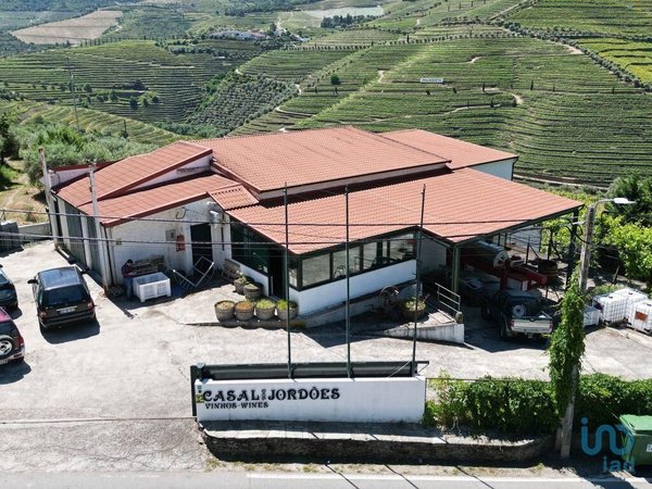 Ervedosa do Douro,  PT
