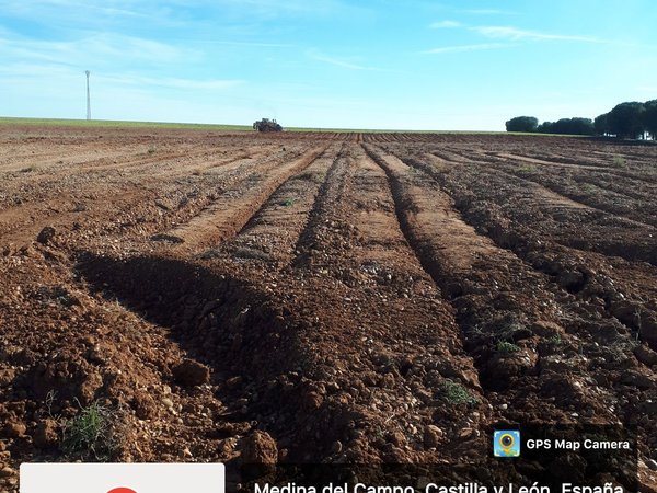 Medina del Campo,  ES