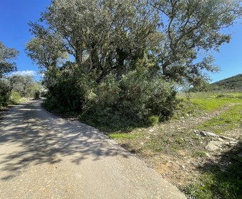 Santa Bárbara de Nexe,  PT
