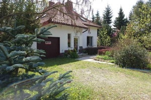 Żabia Wola