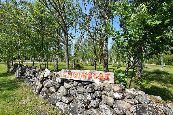 plot for sale, residential land - Metsatiigi, Tamse, Muhu vald, Saaremaa