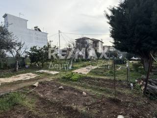 Agria,  GR