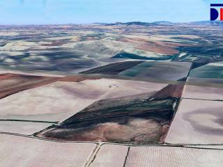 Jerez de la Frontera,  ES