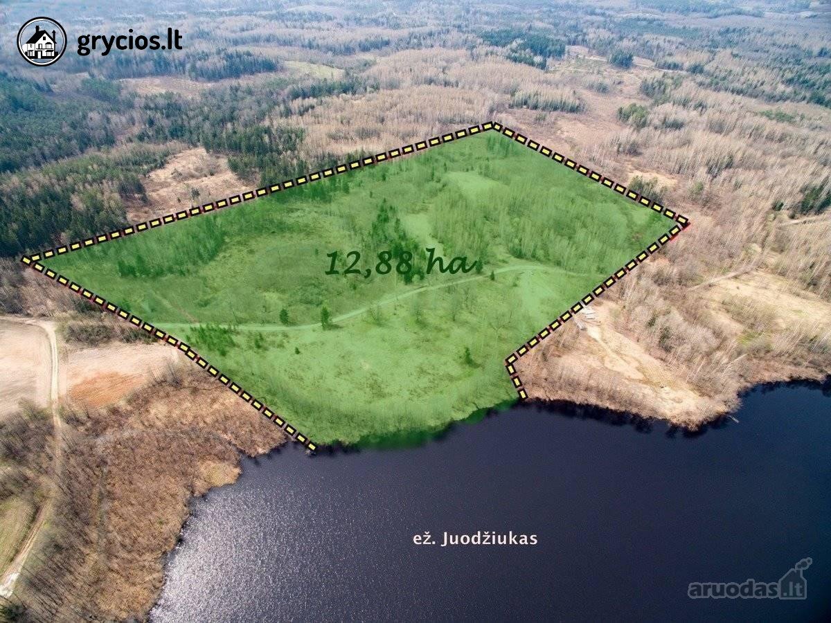 Trakų r. sav. Petrauskų k.