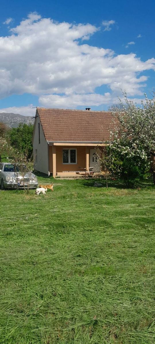 Danilovgrad, Kosic