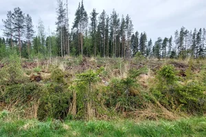 Riihikankaantie 104, Sissala, Alajärvi