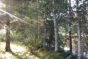 Jokipellontie 8, Muhos, Muhos