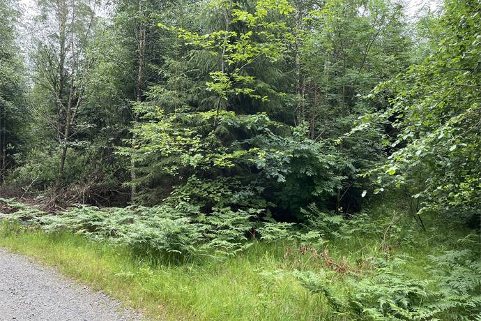 Hajom, Marks kommun