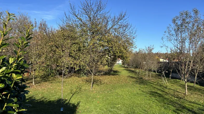 7350 Oberpullendorf