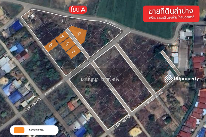Pong Sang Thong, Muang Lampang, Lampang