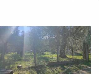 Thasos,  GR