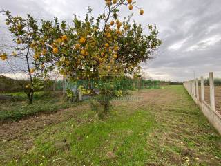 Maddaloni,  IT