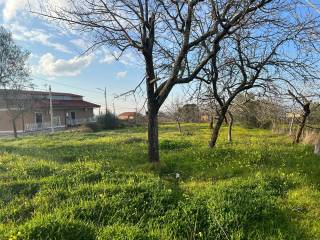 Vibo Valentia,  IT