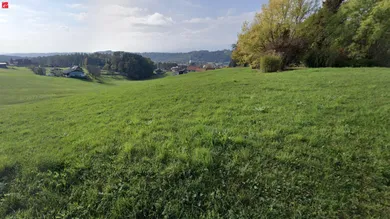 8151 Hitzendorf