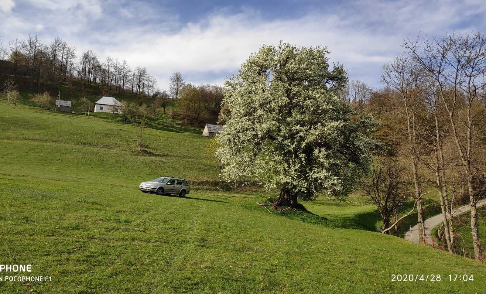 Mojkovac, Podbiste