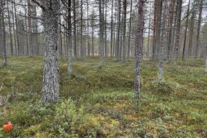Jokosniementie, 93800 Kuusamo