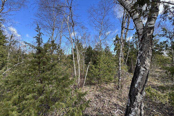 plot for sale, land-profit land - Resekülli, Rässa, Muhu vald, Saaremaa