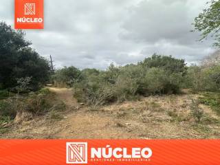 Mont-roig del Camp,  ES