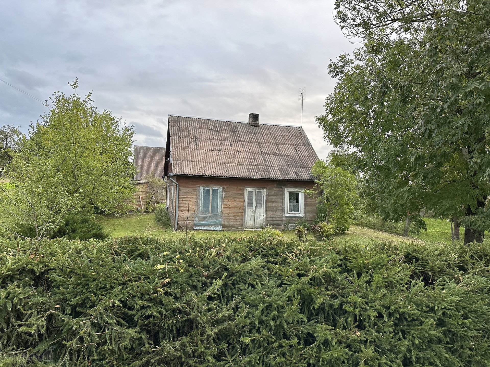 Kelmės r. sav., Vidsodžio k. Luokės g.