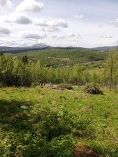 Frøystaul/ Rauland, Rjukan