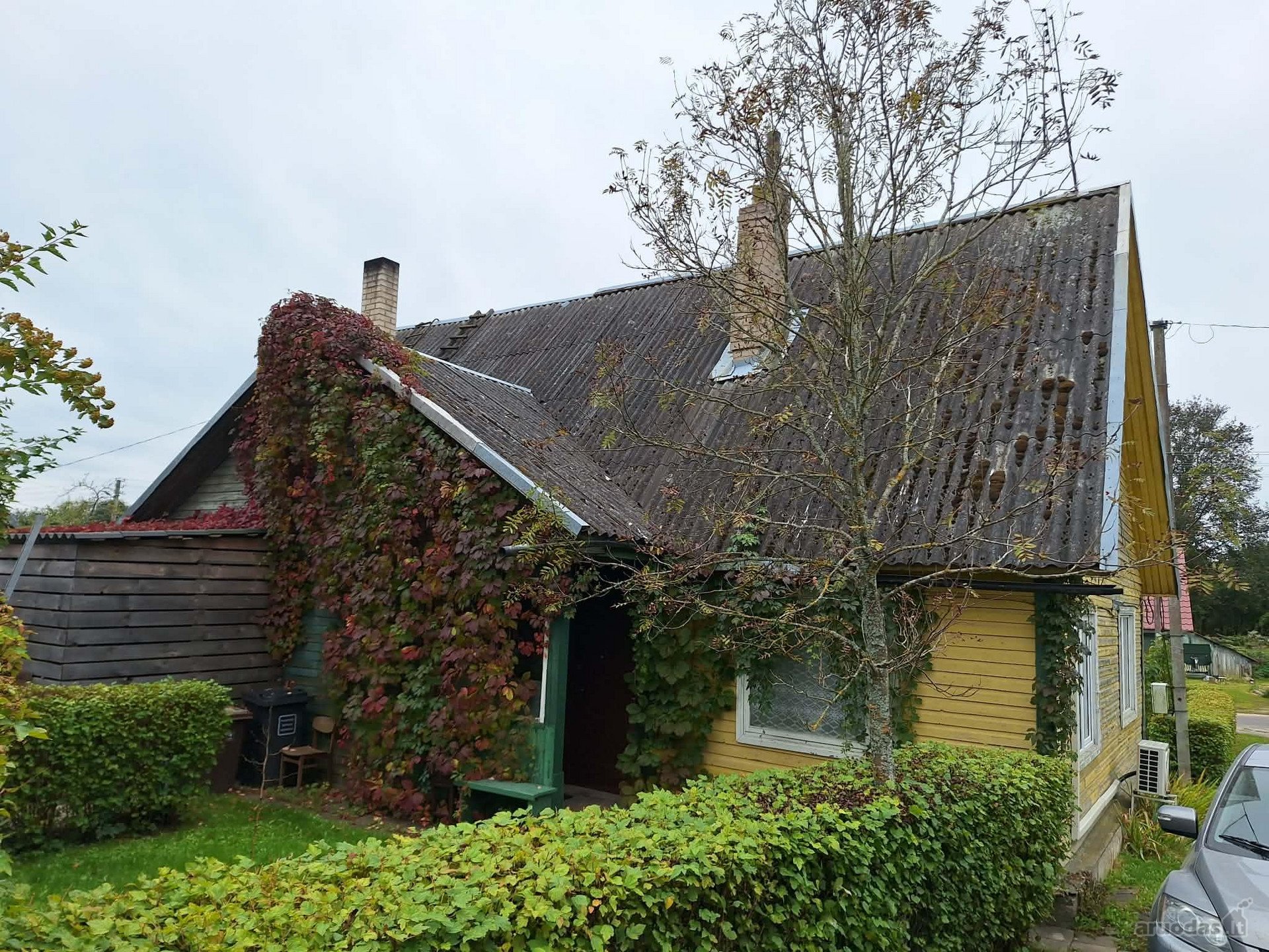 Ignalinos r. sav., Dūkšto m. Laisvės g.