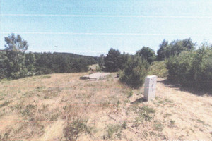Kaliska