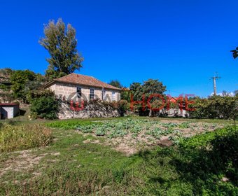 Cinfães,  PT