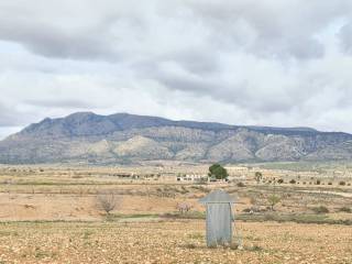 Jumilla,  ES