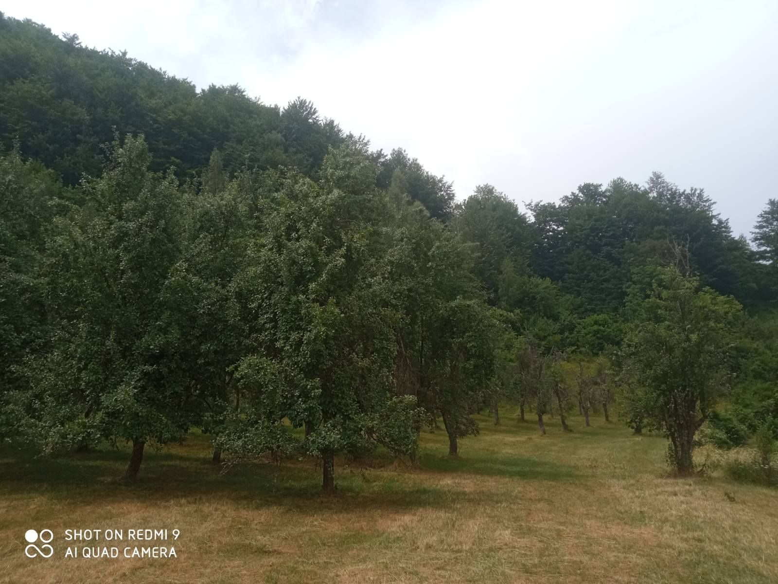 Northern Region, Andrijevica