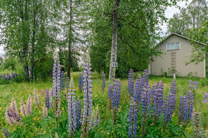 Kannikontie 15, 87700 Kajaani
