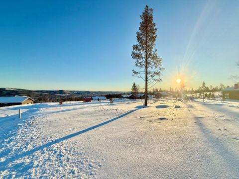 Trysilfjell hytteområde 2114, Trysil