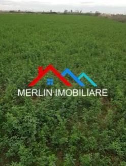 Vora, Vora