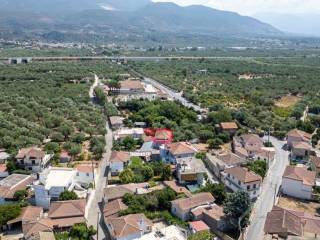 Thouria,  GR