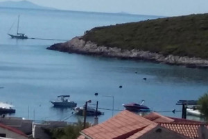 Wolin