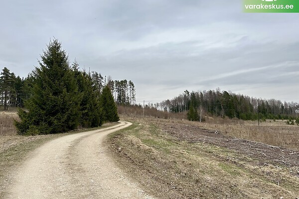 Lääne-Virumaa, Tapa vald, Kadapiku