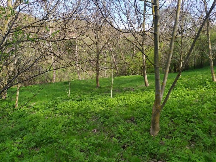 Zajecar District, Sokobanja
